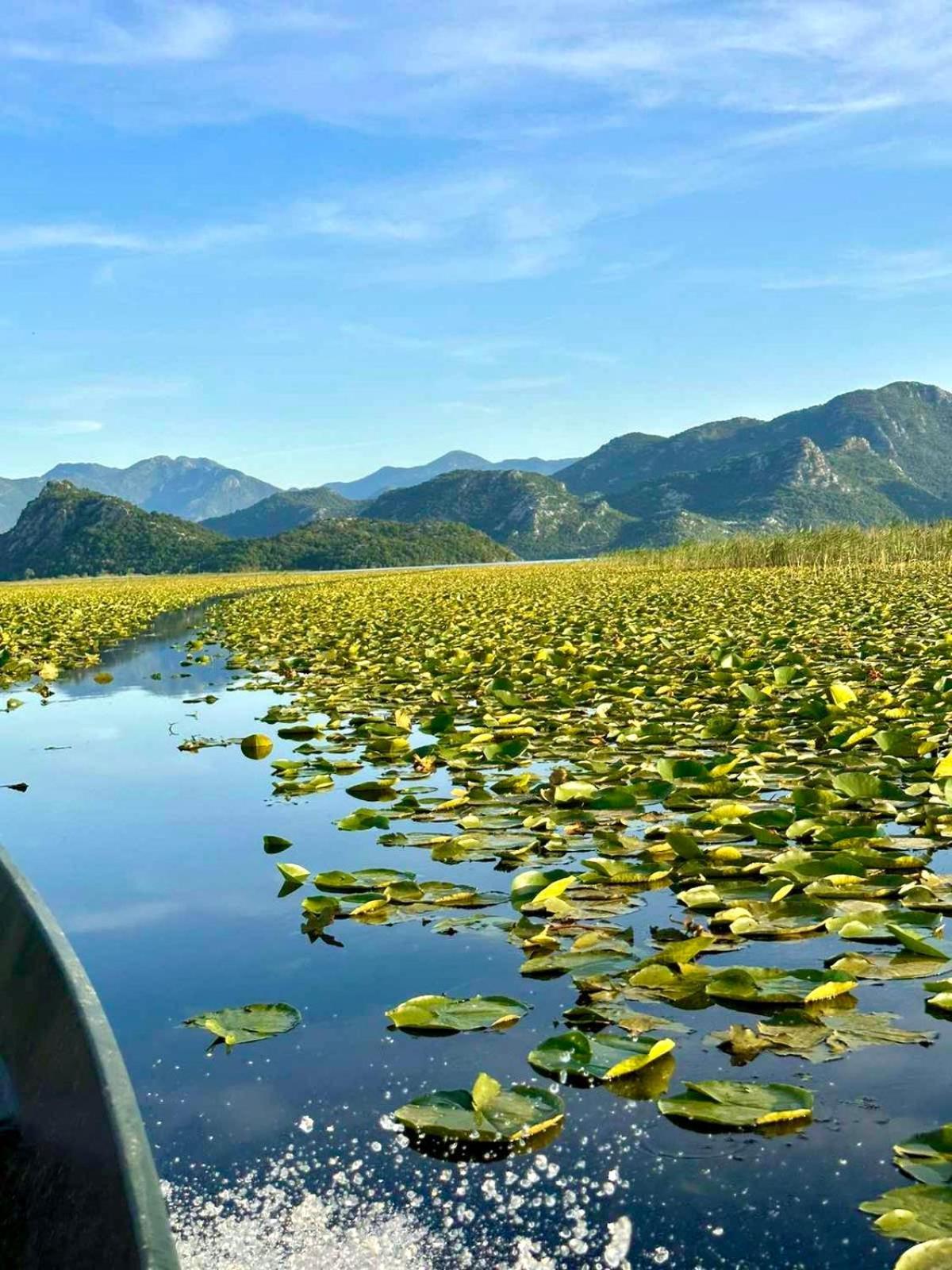 Casa Di Kiara, Skadar Lake Dodosi Exterior foto